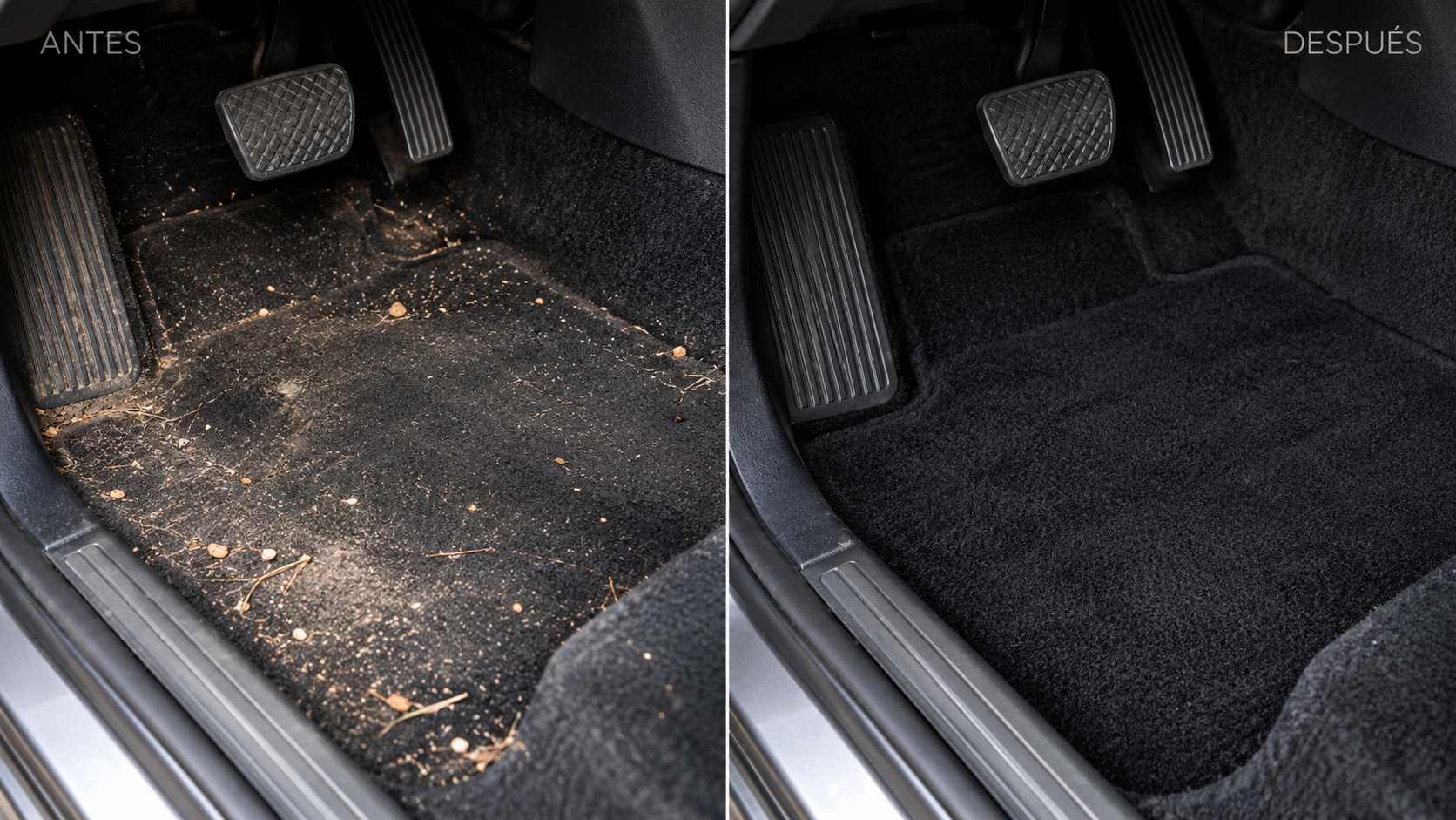 Resultado 3 de Interior Clean Pro